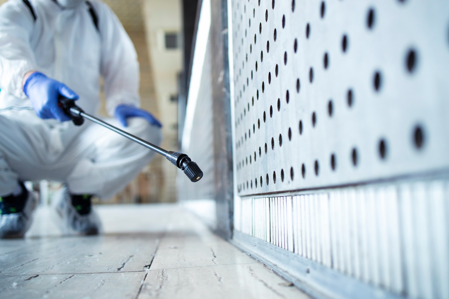 Top Pest Control Challenges in Palm Springs and How to Solve Them